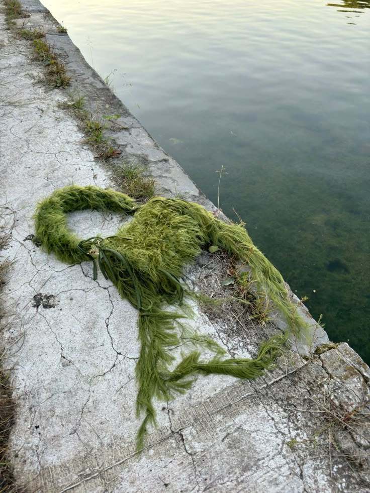 Sea Monster Bag